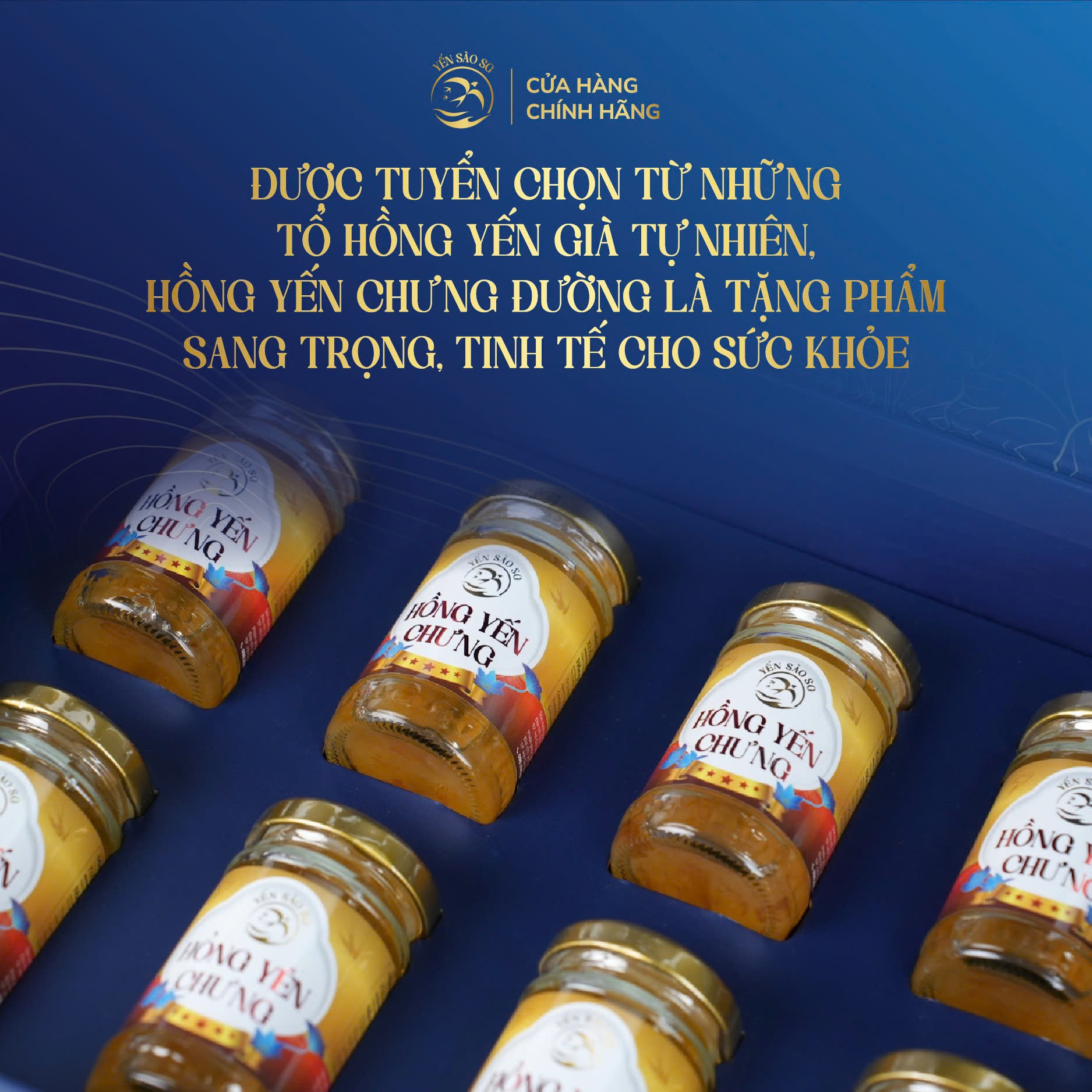 yến nước – hồng yến chưng Đường hộp 10 lọ 100ml