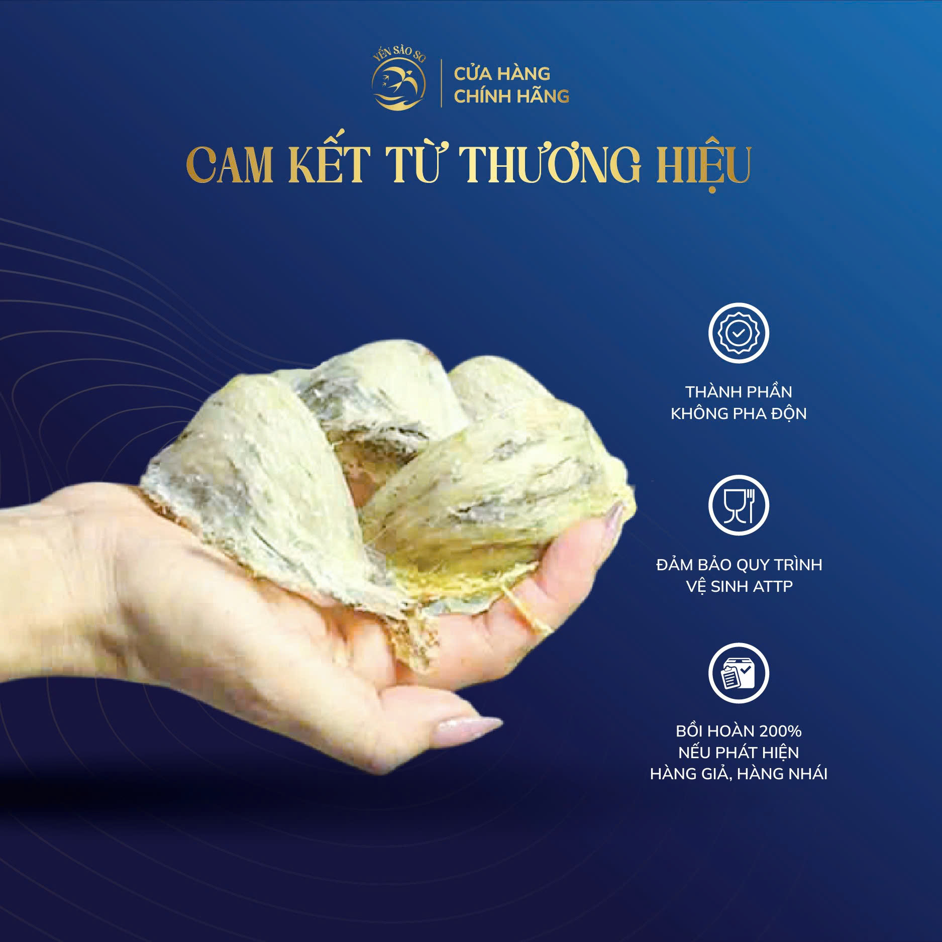 tổ yến tinh chế 100g